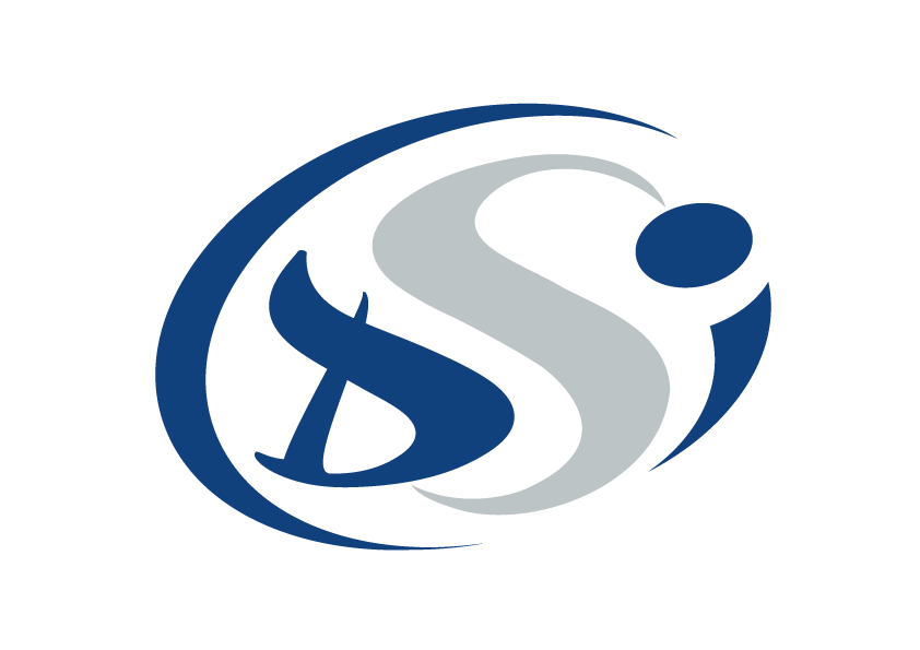 Logo Distribution Service Industriel