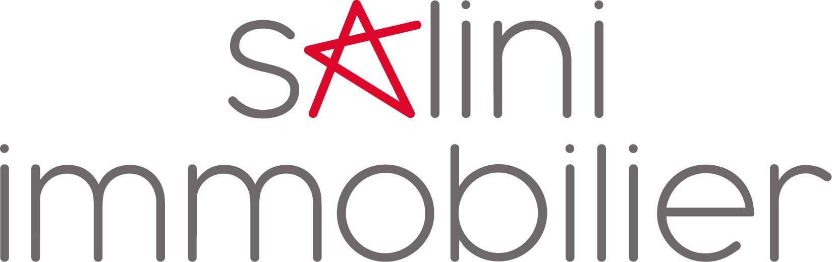 Logo Salini Immobilier