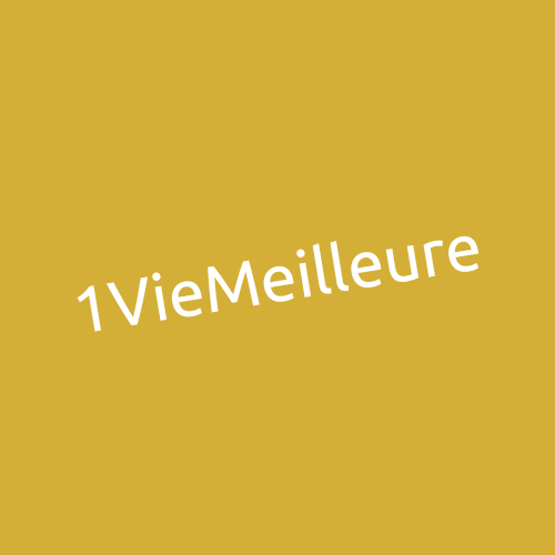 Logo 1VieMeilleure